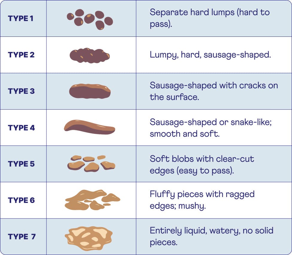 Bristol Stool Chart